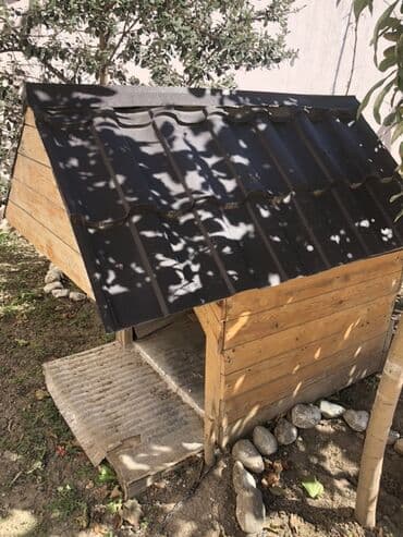 купить домик для кота: Taxta it evi - Material: Təbii taxta gövdə, ikitərəfli metal profilli — 1