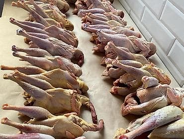 et xengeli: Kənd çolpası çəkiləri 1 kilodan yuxarıdı bakıya çattırılma var 050 325 — 2