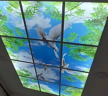 Asma tavanlar: Asma tavan, Şüşə, Odadavamlı — 2