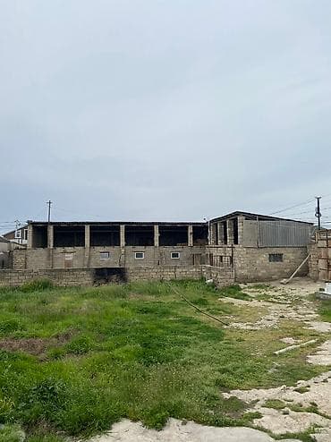 gence emlak satisi: 13 sot, Biznes üçün, Mülkiyyətçi, Kupça (Çıxarış) — 2
