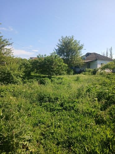 lenkeran ev alqı satqı: 12 sot, Tikinti, Mülkiyyətçi, Kupça (Çıxarış) — 1