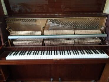 rönisch piano: Пианино, Rönisch, Акустический, Б/у, Самовывоз, Платная доставка — 4