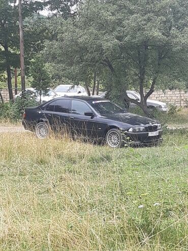 aston martin db7 5.9 at: BMW 5 series: 4.4 л | 2003 г. Седан — 3