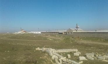 gencede satilan obyektler: 2 sot, Kənd təsərrüfatı, Mülkiyyətçi, Kupça (Çıxarış) — 2