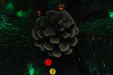 Sandıqlar: Yolka yeni il ağacı ~170 sm, əla vəziyyətdə + şışkalar. Şarlarsız — 2