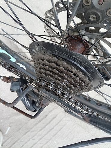 Salam veleseped 24 lukdu hec bir problemi yoxdu tormuzları yaxşıdı — 9