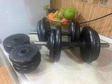 Спорт и отдых: Блин для штанги — 3