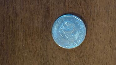 1980-ci ildə dövriyyəyə buraxılmış bir dollar