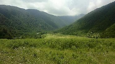 mingecevirde heyet evleri: Kənd təsərrüfatı — 4