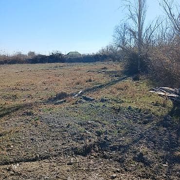 Qarajlar: 30 sot, Tikinti, Mülkiyyətçi, Bələdiyyə — 1