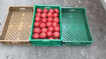 həsir səbət: Plastik yeşik(tara,sebet,yesik,qutu) istehsalı. ölçülər 60/40/10sm — 17