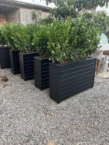 dekorativ otaq bitkiləri: Bu taxda dipçekin ölçusu 100x30x55 Bu standart alinan ölçudur — 7