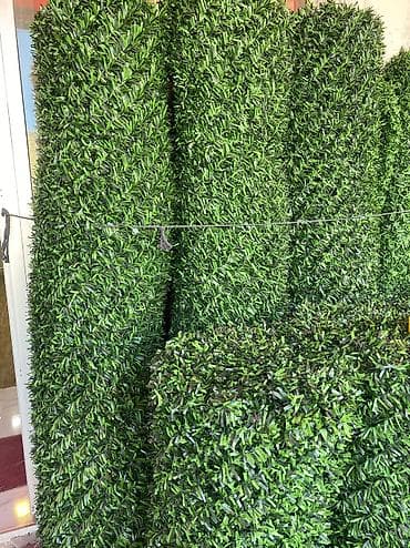 ev gulleri sekilleri: 🌿 Yaşıl Hasarların Topdan və Pərakəndə Satışı Məkanlarınıza estetik — 3