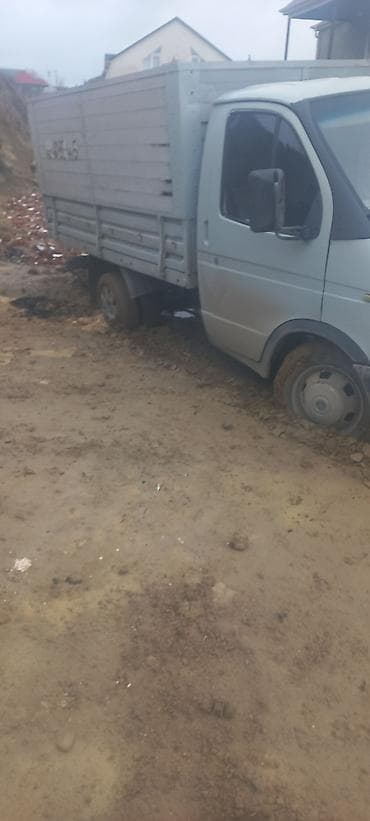 K/t heyvanları və malları: Satış üçün: Qoyun-quzu və buzovlar - Ana qoyun balası ilə birlikdə — 9