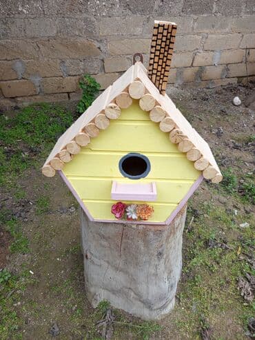 dibcək gulu: Quş yuvalari — 1