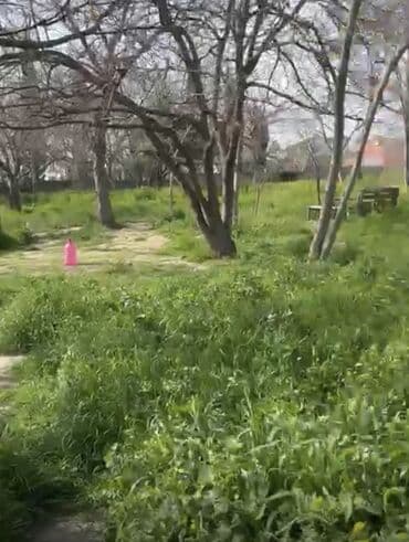 yeni əmlak az: 24 sot, Tikinti, Mülkiyyətçi, Kupça (Çıxarış) — 5