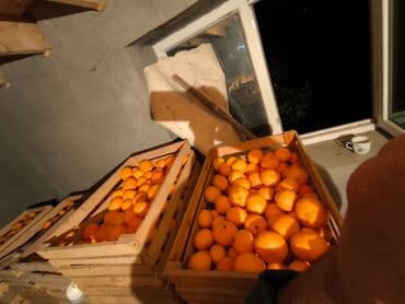 şeki paxlavası: Topdansatış portağal - Taxta yeşiklərdə çeşidlənmiş, iri həcmdə — 5