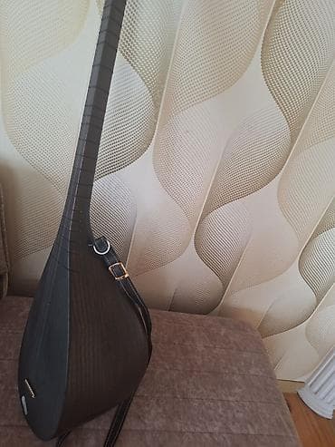 start velosiped 29: Elektro saz – qara ağac korpuslu, uzun saplı, quraşdırılmış preamp və — 2