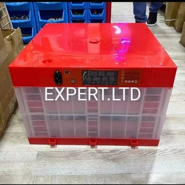 hinduska yumurtasi nece gune cixir: Expert şirkətinin rəsmi istehsalı olan, android-rejimli aparatların — 21