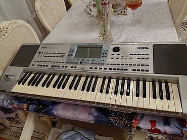 Gitaralar: Sintezator, Korg — 3