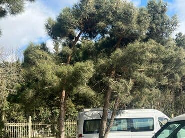 3 mkr kiraye evler: 9-cu mikrorayon, Tərlan şadlıq sarayın yaxınlığı, 5 mərtəbəli binanın — 3