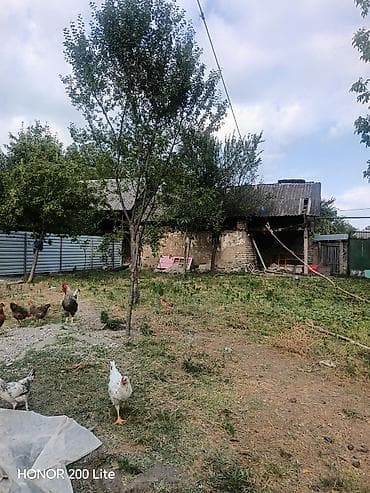 guneslide torpaq satilir: 3 sot, Tikinti, Mülkiyyətçi, Kupça (Çıxarış) — 1