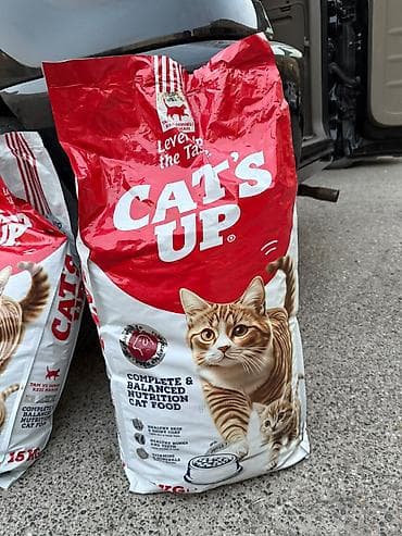 Heyvanlar üçün mallar: Cat’s Up – tam və balanslaşdırılmış qidalanma üçün quru pişik yemi — 1