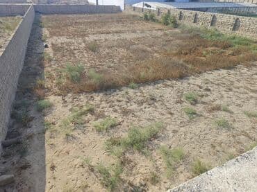 Qaşıqlar: 12 sot, Tikinti, Mülkiyyətçi, Kupça (Çıxarış) — 7