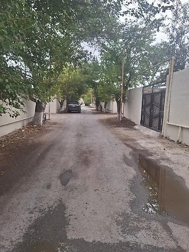 nardaran torpaq: 6 sot, Kupça (Çıxarış) — 4