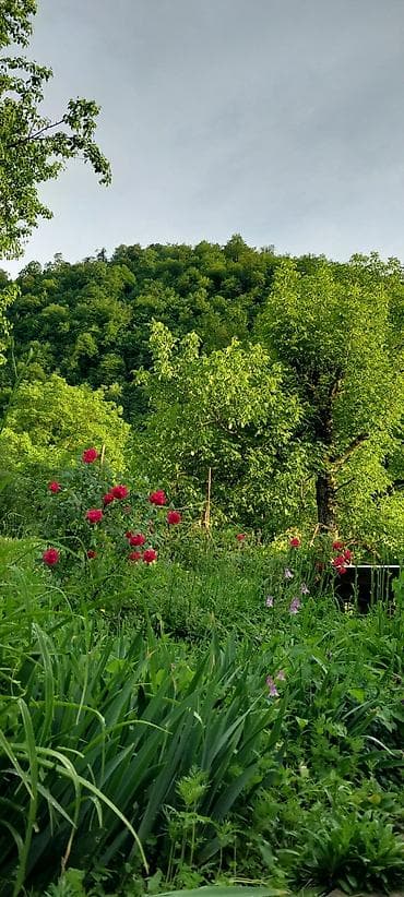 20 ci sahede kiraye ev: Dağ mənzərəli bağ sahəsi – yaşıllıq içində sakit məkan - Geniş — 4