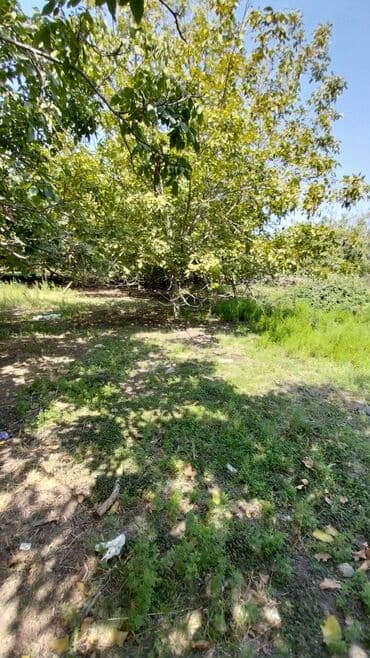 binə atçılıq torpaq satılır: 8 sot, Tikinti, Maklerlər narahat etməsin, Kupça (Çıxarış) — 7