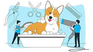 masaj ehmedli: Bərbərlər | Digər xidmət növü — 1