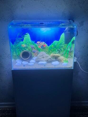 qus yuvasi duzeltmek: Akvarium-şkaf, Balıqlarla birlikdə, 90 l, Ödənişli çatdırılma — 5