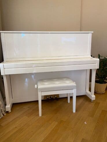 klarnet satışı: Piano Satışı - Akustik və Elektron Pianoların Satışı -Hörmətli — 1
