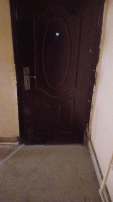 qapi ucuz: Daxili dəhliz üçün metal giriş qapısı - Material: polad korpus — 2