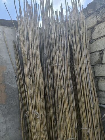 dua gülü: Qarxi 4qom du 15m — 2