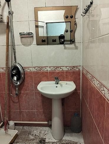 Tulpan 
güzgü ilə birlikde — 1