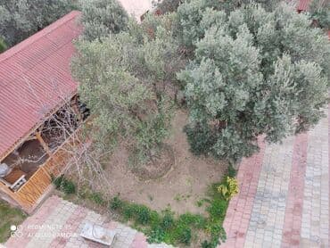 офисы в бизнес центре аренда: Xətai rayonu naxcivanskiy uciliseye yaxin obyekt,6 otaqli baxca kimi — 5