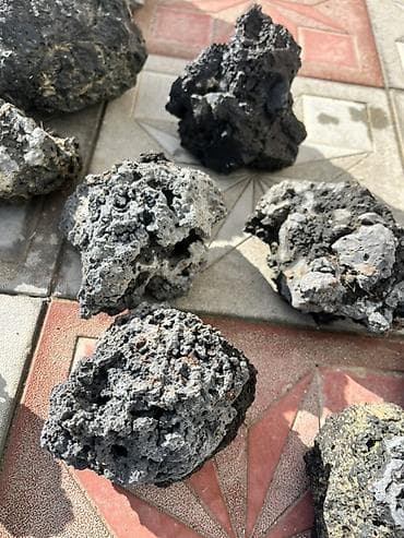 divar daslari qiymeti: Akvarum üçün Təbii qara vulkanik daşlar (poroz/lava daşları) – — 8