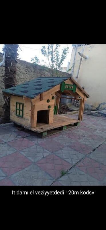 samoyed qiyməti: 3 ay, Dişi, Peyvəndli — 20