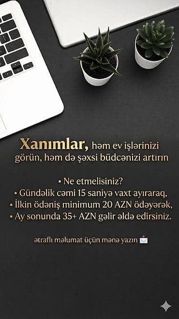 Xanımlar üçün onlayn gəlir imkanı - Ev işlərinizi idarə edərkən şəxsi