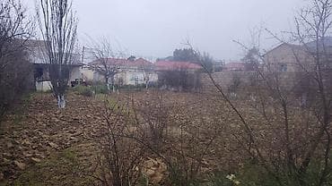 şeki: 7 sot, Mülkiyyətçi, Kupça (Çıxarış) — 7