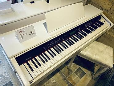 elektro gitara satilir: Azerbaycanda Medeli elektro pianolarinin resmi distribyutoru royal — 1