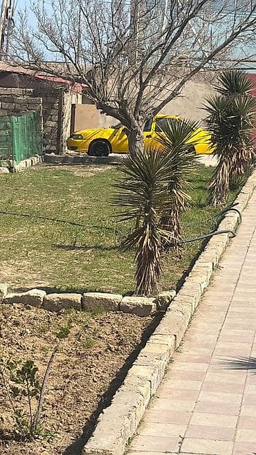 ferrari satilir: Model: Daewoo Nexia (sedan) Rəng: sarı Kuzov: 4 qapılı, ön və arxa — 7