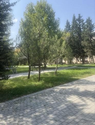 Kirayə mənzil – Binəqədi rayonu, 6-cı Mikrorayon, Nəsimi metrosuna — 5