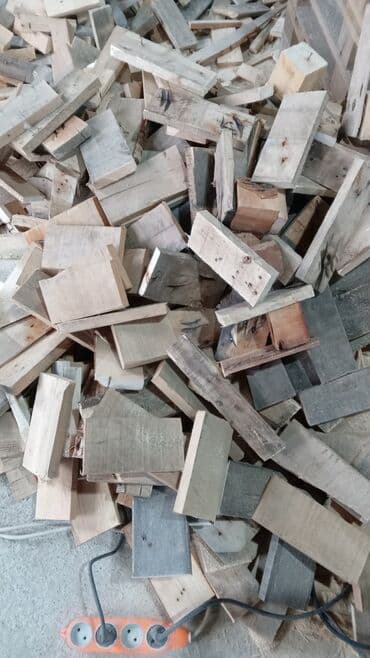 buynuzu: Odunlar meşoklarda, böyük meşok -3 man, balaca meşok- 2 man. Zabrat — 7