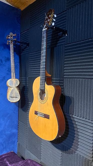 Gitaralar: Elektro Klassik Gitar – kəsik korpus (cutaway) - Korpus: klassik — 1