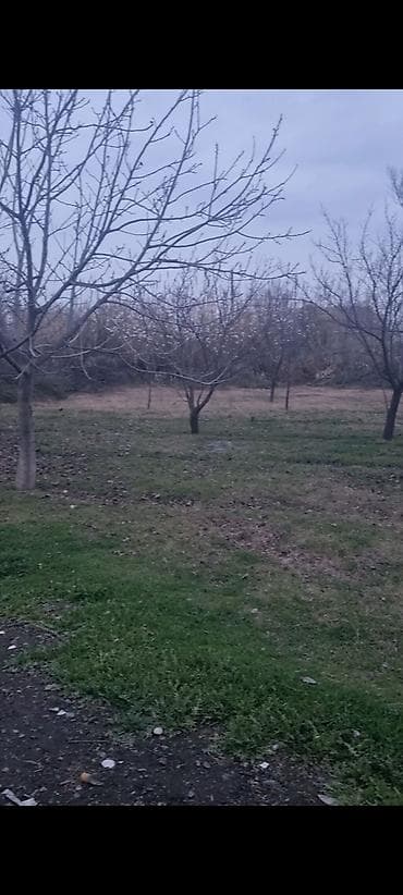 gəncə belarus zavodu: 21 sot, Kənd təsərrüfatı, Mülkiyyətçi, Kupça (Çıxarış), Bələdiyyə — 1