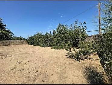 susa: 25 sot, Tikinti, Barter mümkündür, Bələdiyyə — 2