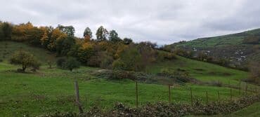 obyekt ucun torpaq: 55 sot, Kənd təsərrüfatı, Maklerlər narahat etməsin, Kupça (Çıxarış) — 2